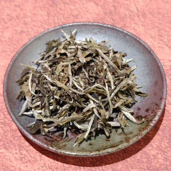 White Peony - Bai Mudan