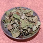 荒野寿眉1-scaled-1.webp Wild Shou Mei - Longevity Eyebrow