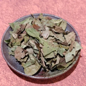 Wild Shou Mei - Longevity Eyebrow